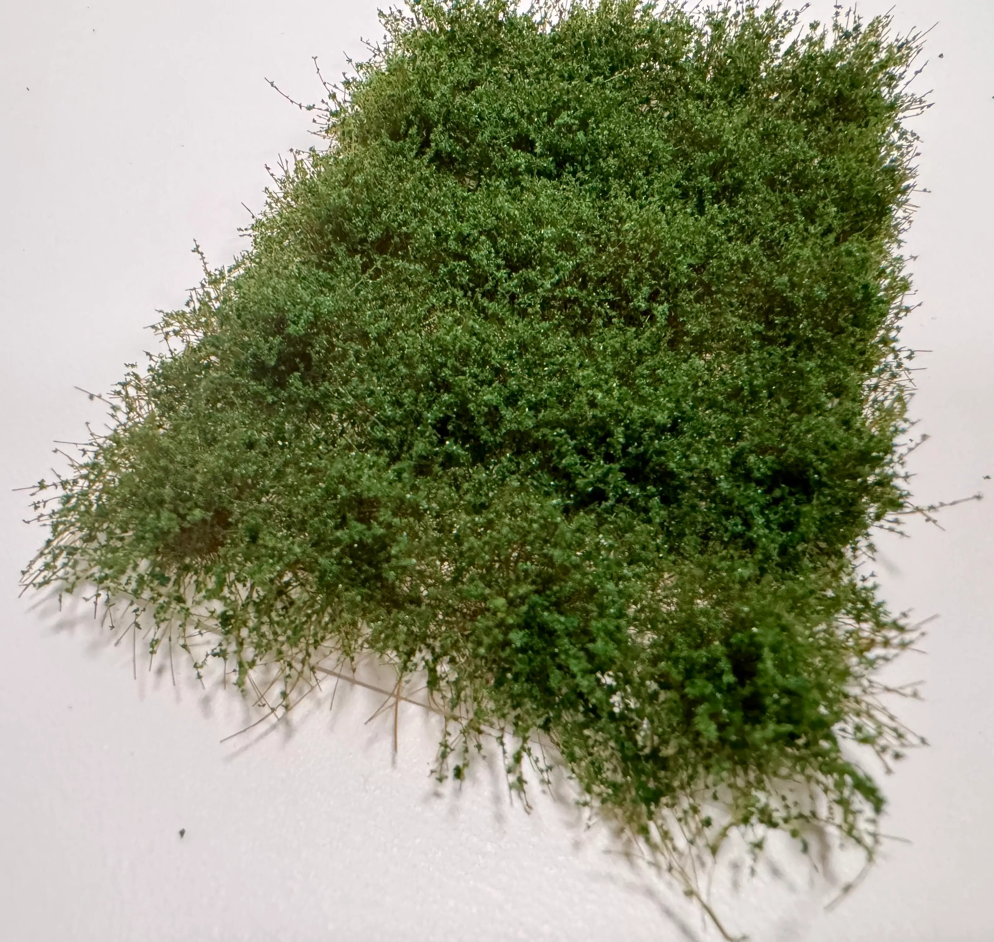 Modelový stromček Kríček neskoré leto 1,5cm - 20ks