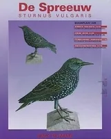Papierový model - Vtáky - Škorec obyčajný