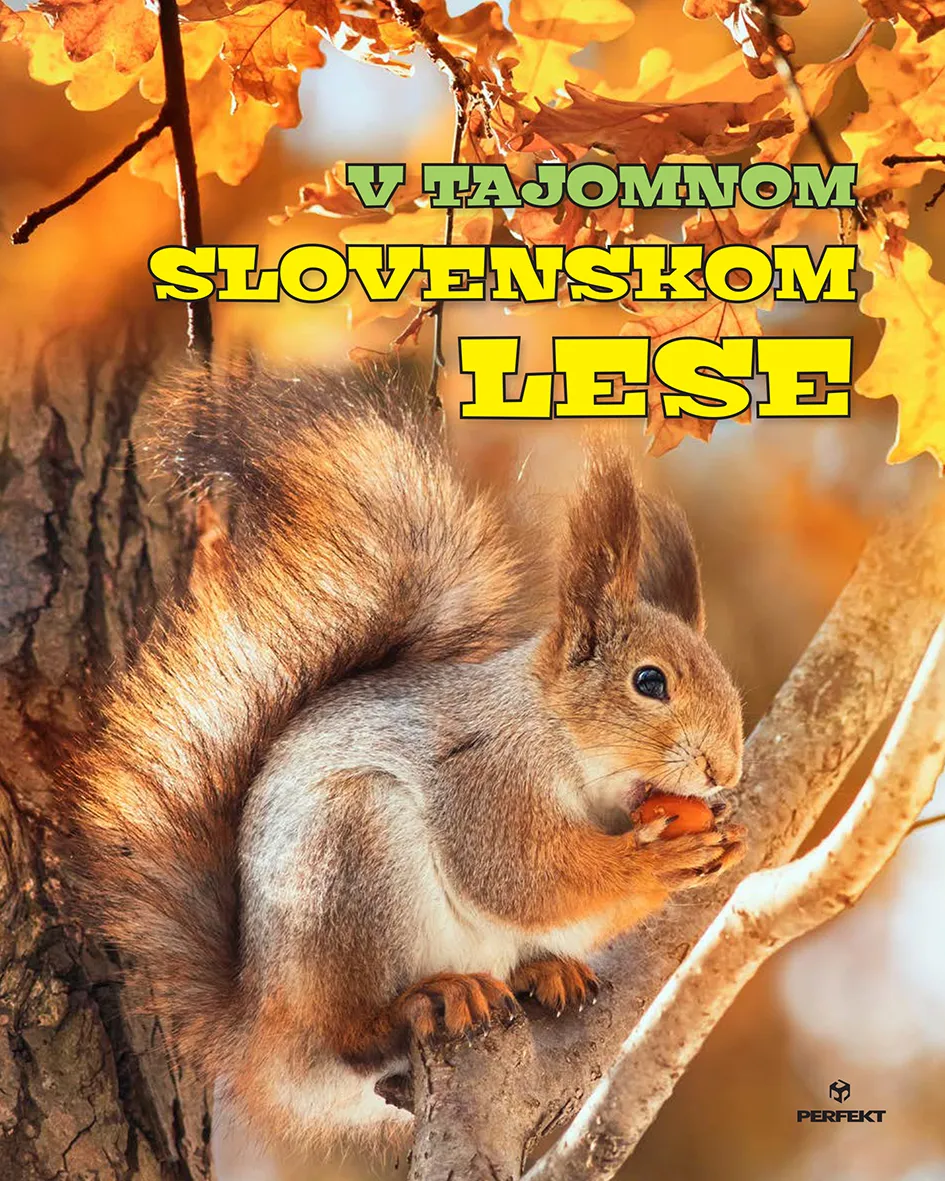 Kniha V tajomnom slovenskom lese