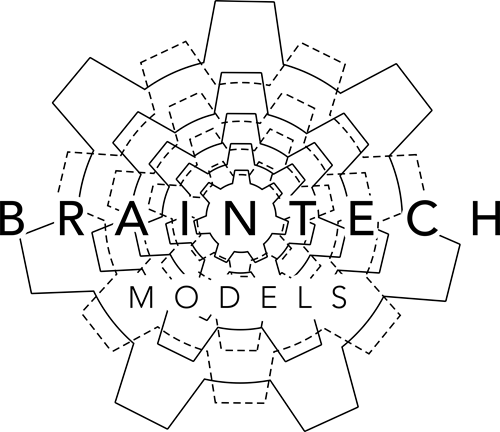 Braintech models (SK)
