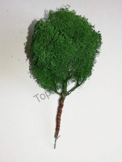 Stromček listnatý 13cm