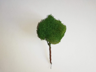 Stromček listnatý 10cm