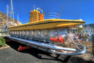 Papierový model Žltá ponorka - Golden Salmon