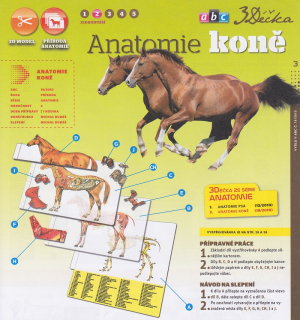 Papierový model Anatómia koňa