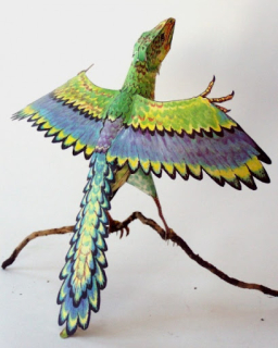 Papierový model Archeopteryx